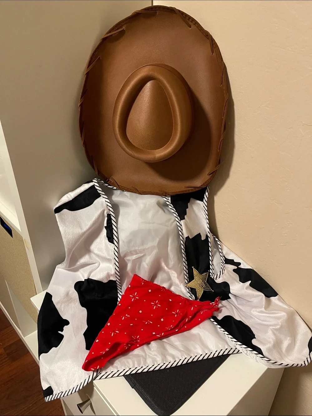 Toy Story- Woody costume for Male
